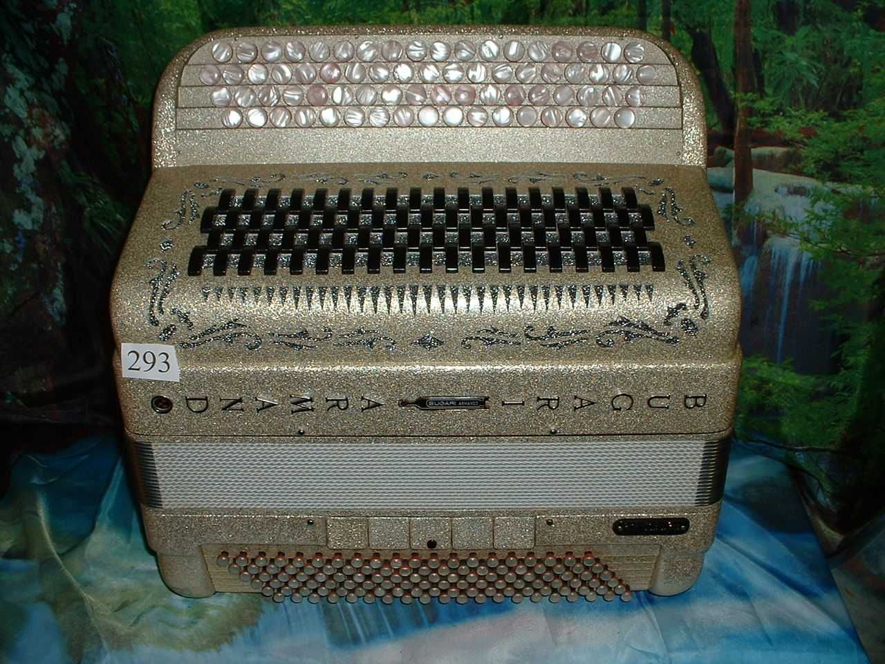 Acordeão em Promoção mes de Maio  G  n.293