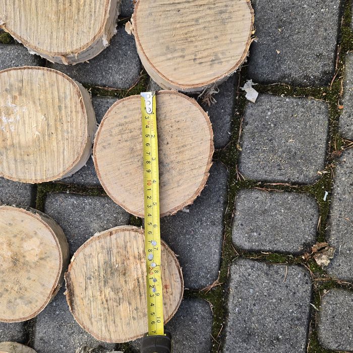 Ozdoby świąteczne plastry brzozy 11 szt.