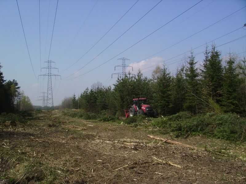 Usługi mulczowania i wycinka drzew (mulczer leśny, frezarka do pni)