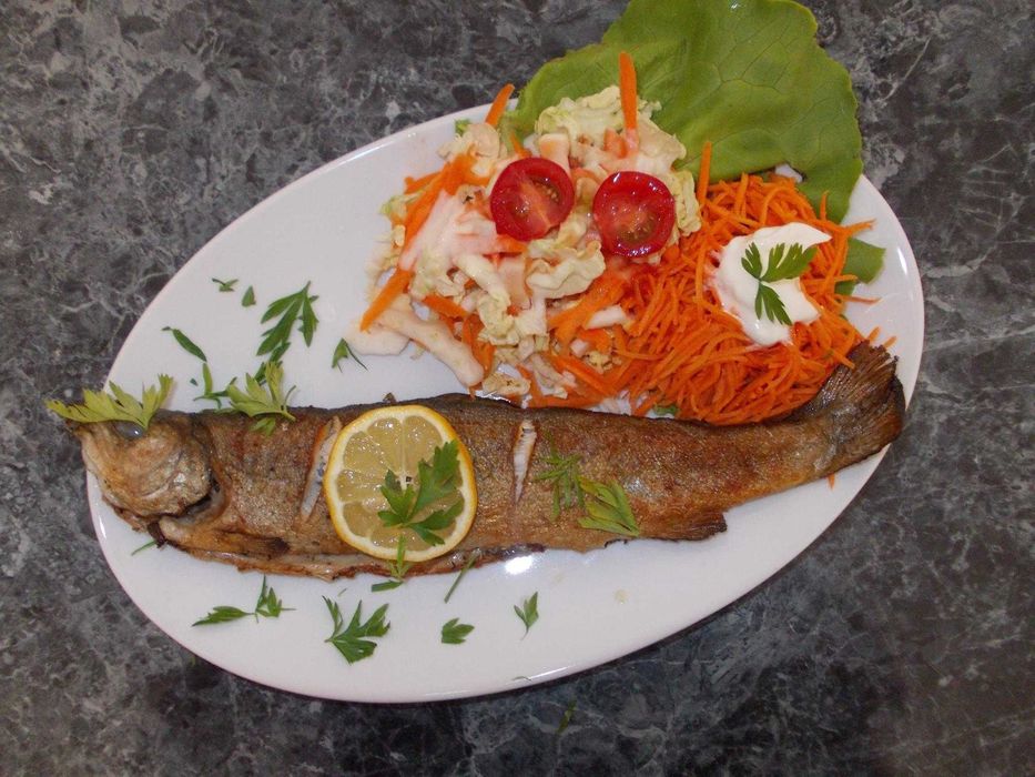 Kwatery - Noclegi - Pokoje - Nowe Miasto Lubawskie