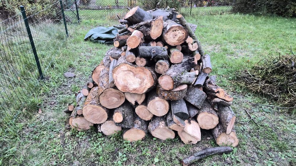 Drewno owocowe z jabłoni ok. 3,5mp