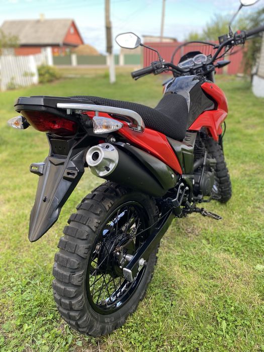 Продам Лонкін прус в хорошому стані