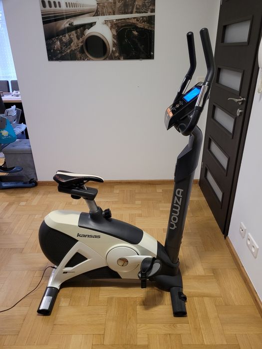 Rower stacjonarny elektromagnetyczny 8kg koło Yowza Kansas Reebok B5.1