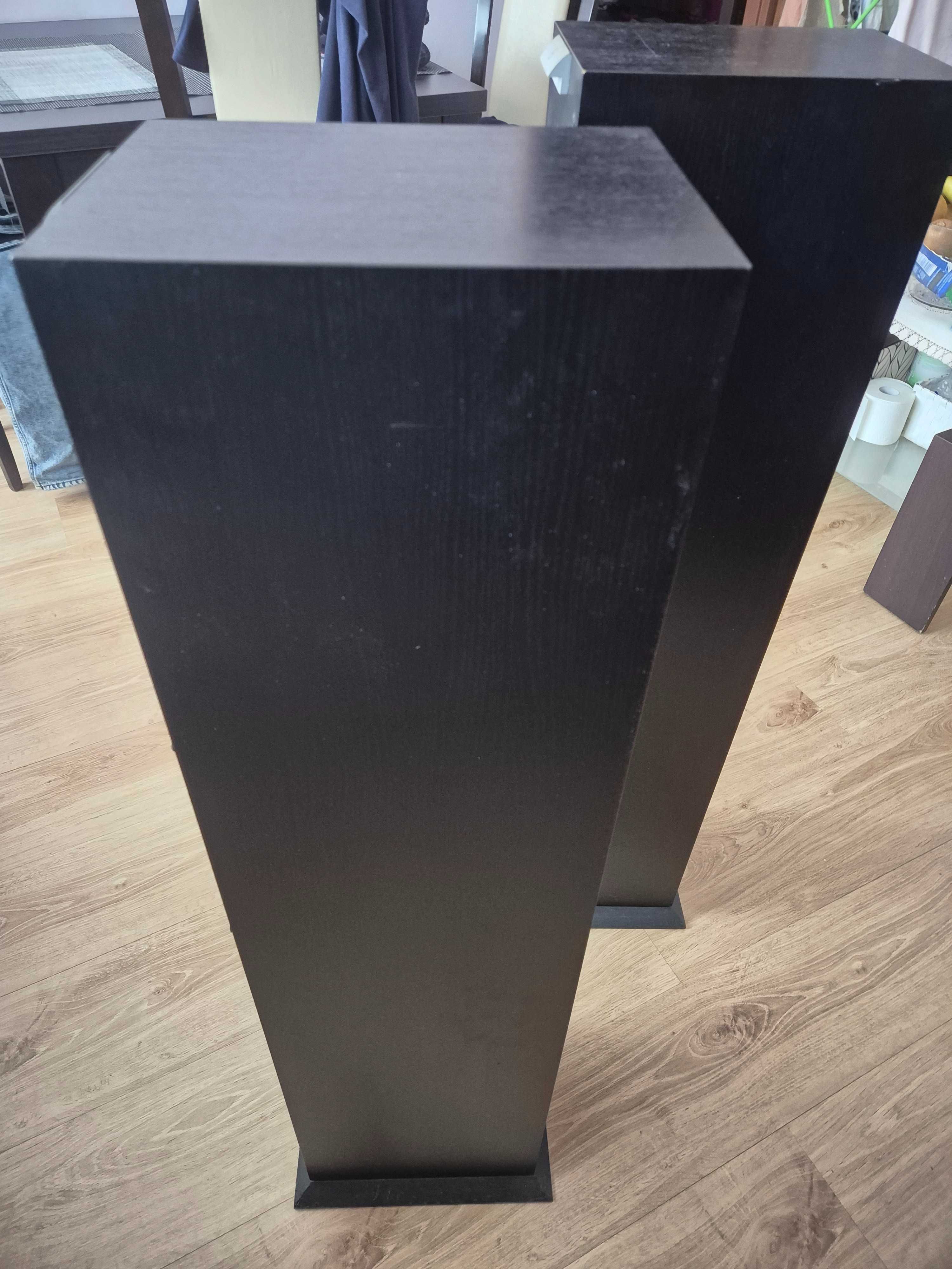 Audiovector C-3 kolumny podłogowe.Cena za komplet.