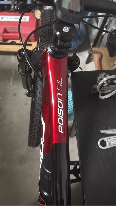 Bicicleta BTT carbono Coluer L