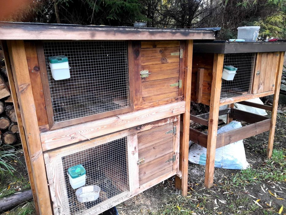 KROLIKI 3klatki fachowe