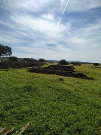 Estrume bovino (matéria orgânica)