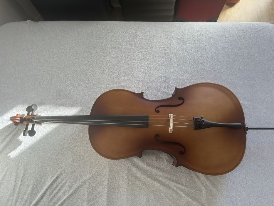 Violoncelo 4/4 begginners