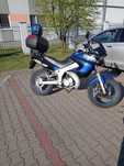 Yamaha 125 TDR 26 koni