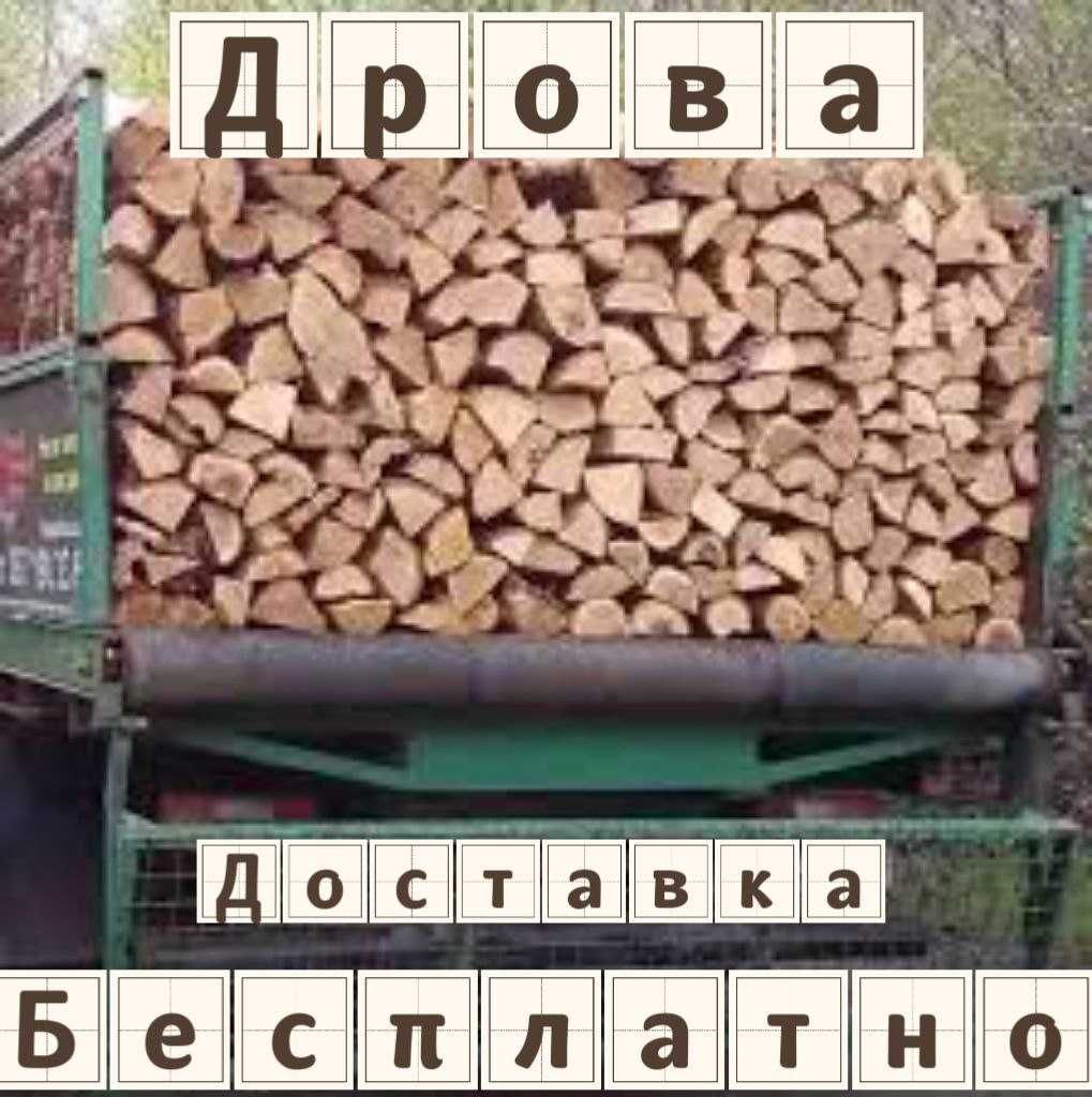 Дрова. Метровые и колотые. Твёрдых пород. Доставка
