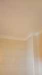 Pintor profissional