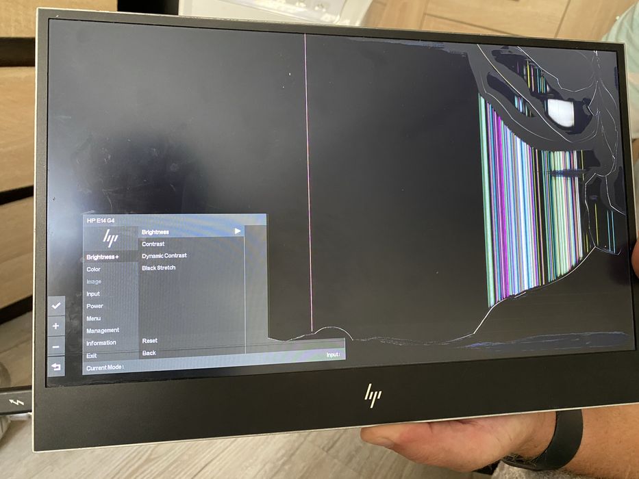 Monitor przenośny HP e14 g4