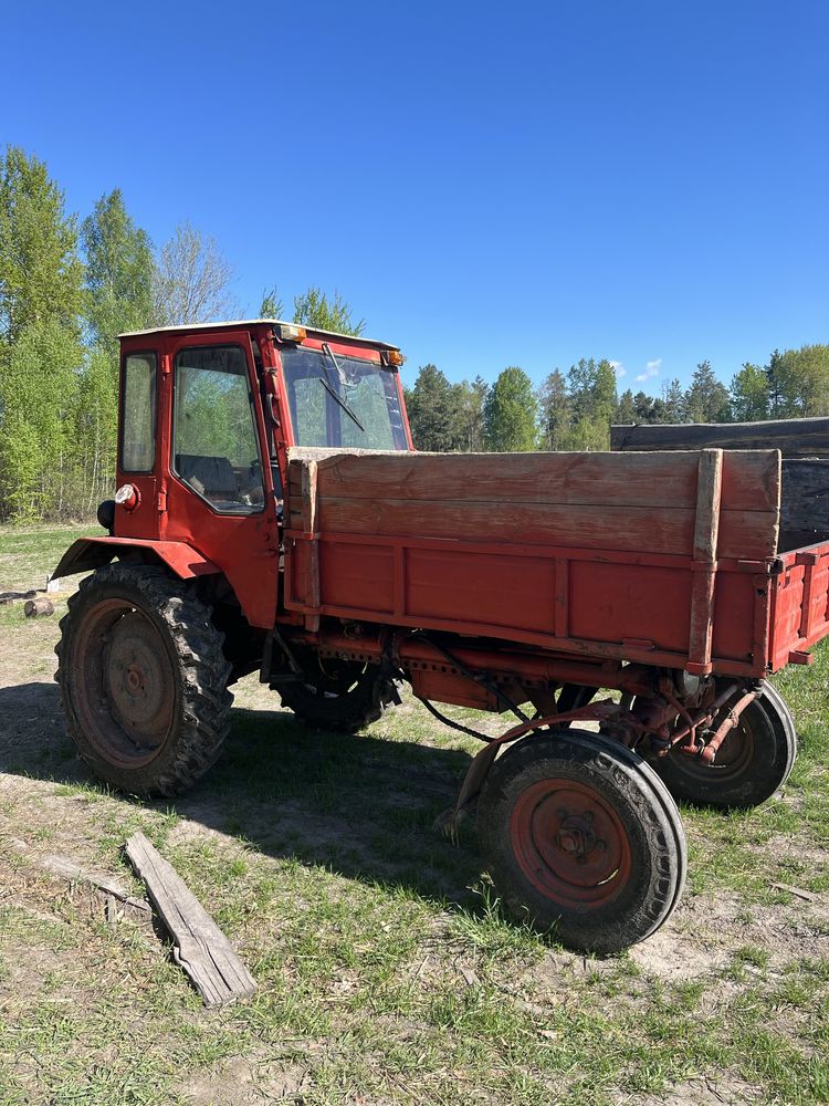 Продам трактор т 16