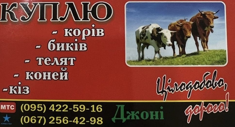 мясо дорого, дзвоніть