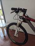bicicleta carbono Ignite