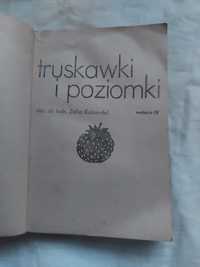 Truskawki i poziomki Rebandel Książka