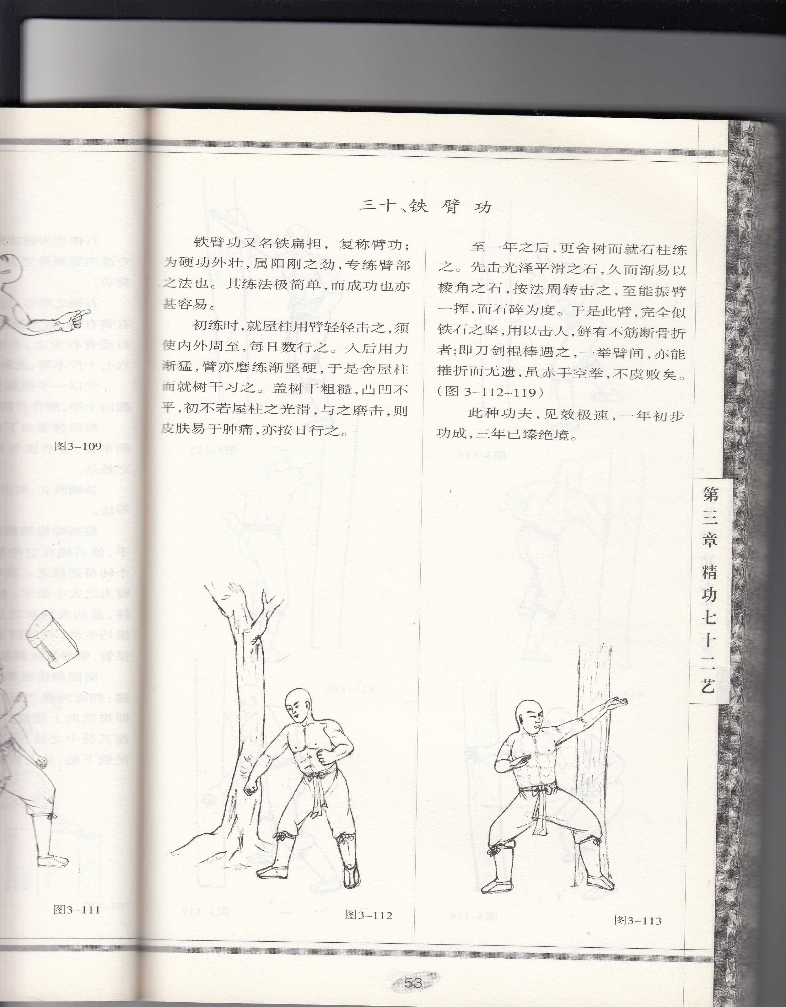 Shaolin Eagle Claw iron cloth shirt CHANG JIA JIE