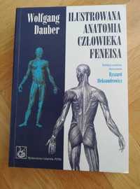 Ilustrowana anatomia człowieka Feneisa, W. Dauber