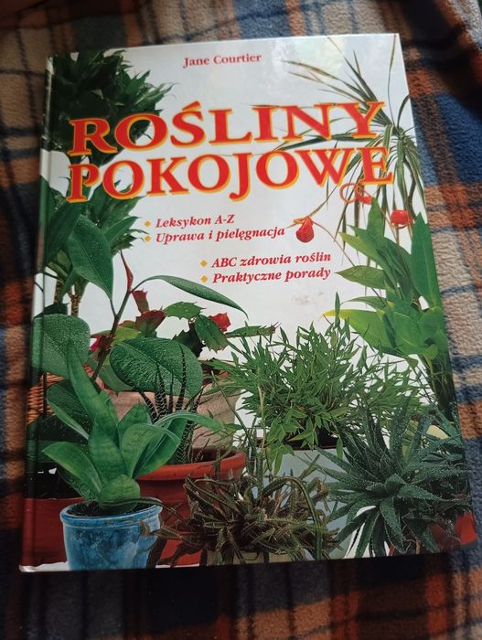 Rośliny pokojowe
