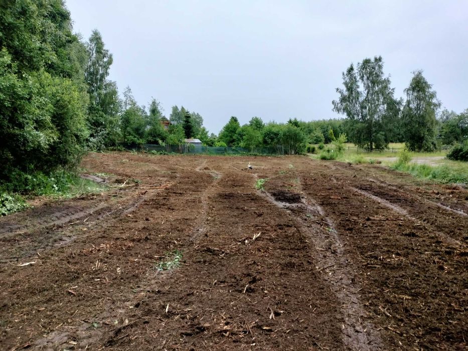 Mulczowanie Karczowanie Działek Mulczerem Leśnym wycinka drzew
