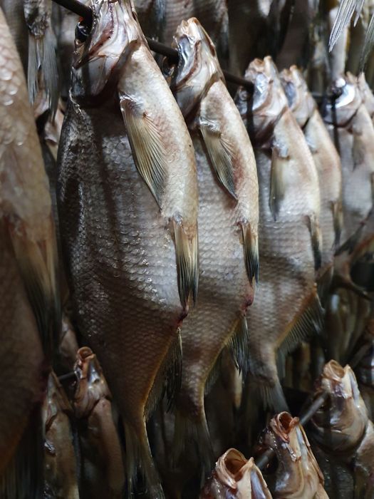 Рыба вяленая опт и розница. Тарань,Лещ,Чехонь,Синець,Густыря