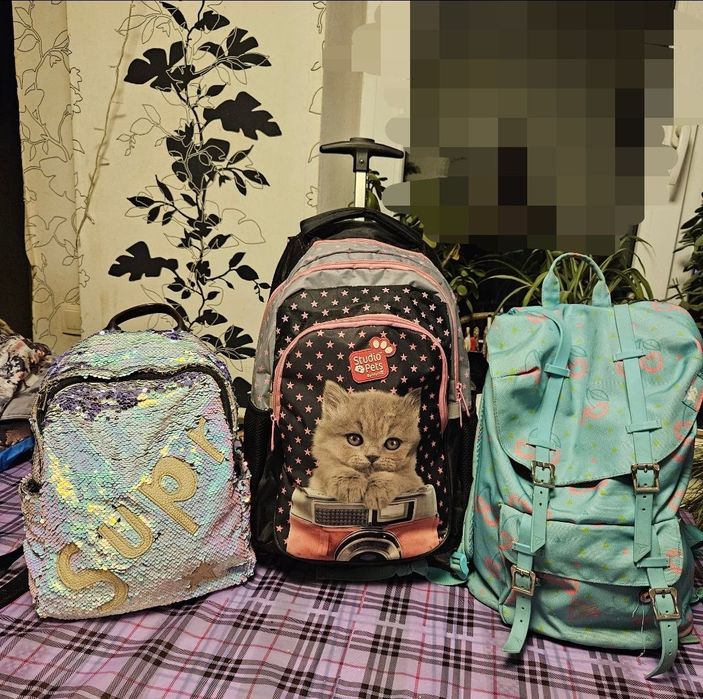 Рюкзаки звичайні, на колесах