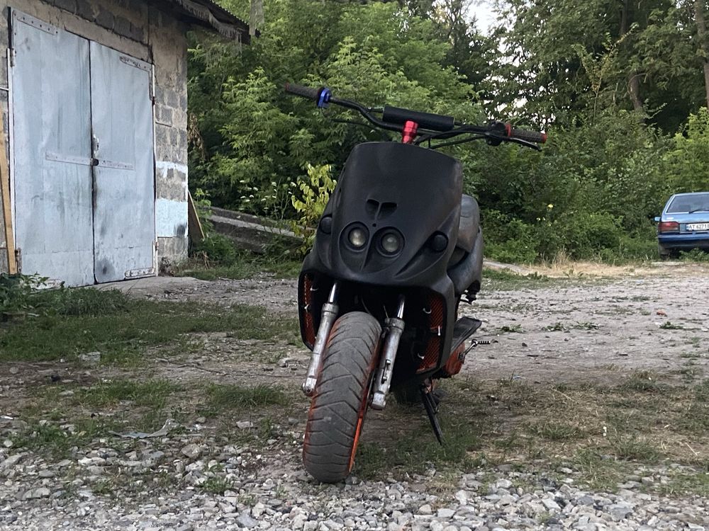 Продам малагуті