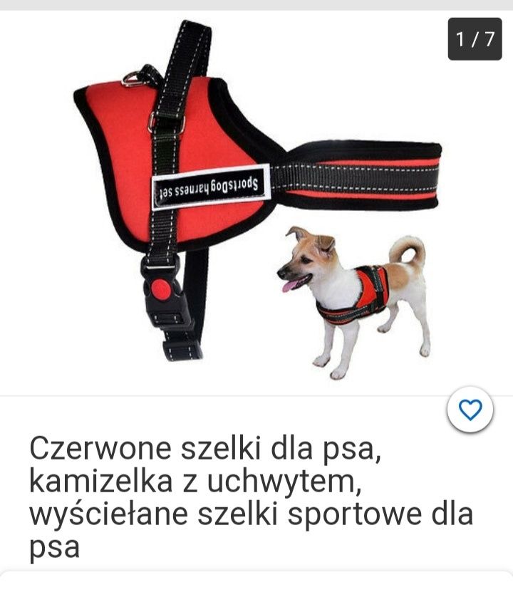 Nowe szelki dla psa dobrej formy