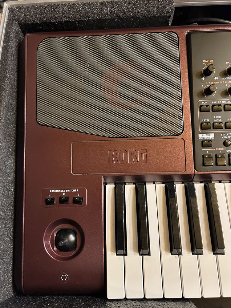 Korg Pa1000 stan idealny + powerbox + stojak