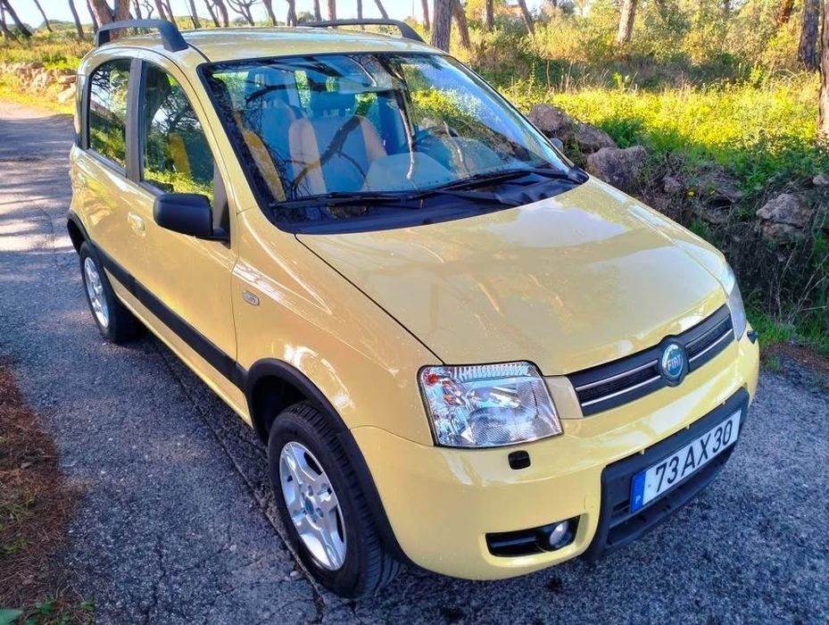 Fiat Panda 4x4 Climbing – 2005 – 170.000 km – 1.3 Multijet