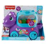 Fisher Price. Dinuś Podskakujące piłeczki Hnr51 pudełko,256x355 mm