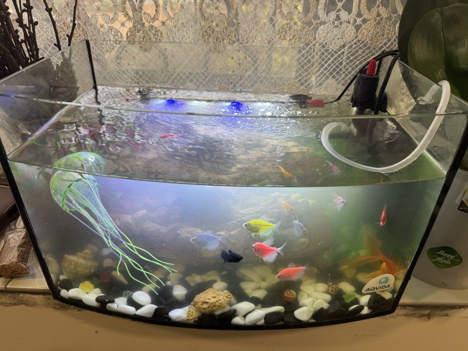 Продам аквариум с рыбками  и оборудованием