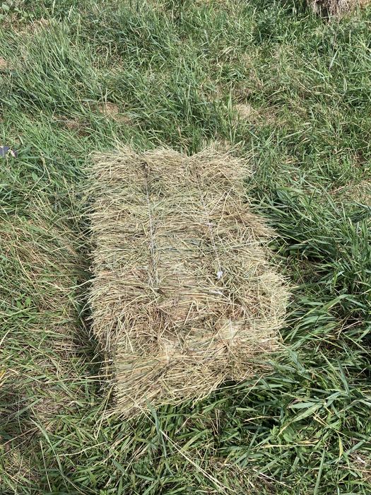 Продам СІНО В ТЮКАХ лугове