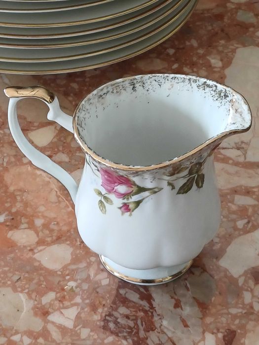 Mlecznik porcelana Chodzież Iwona (P.686)