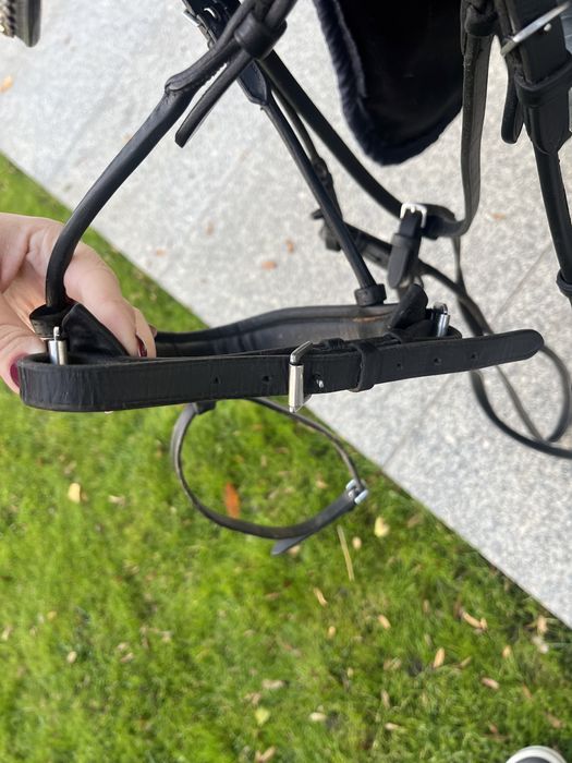 Ogłowie ujeżdzeniowe anatomiczne ANKY