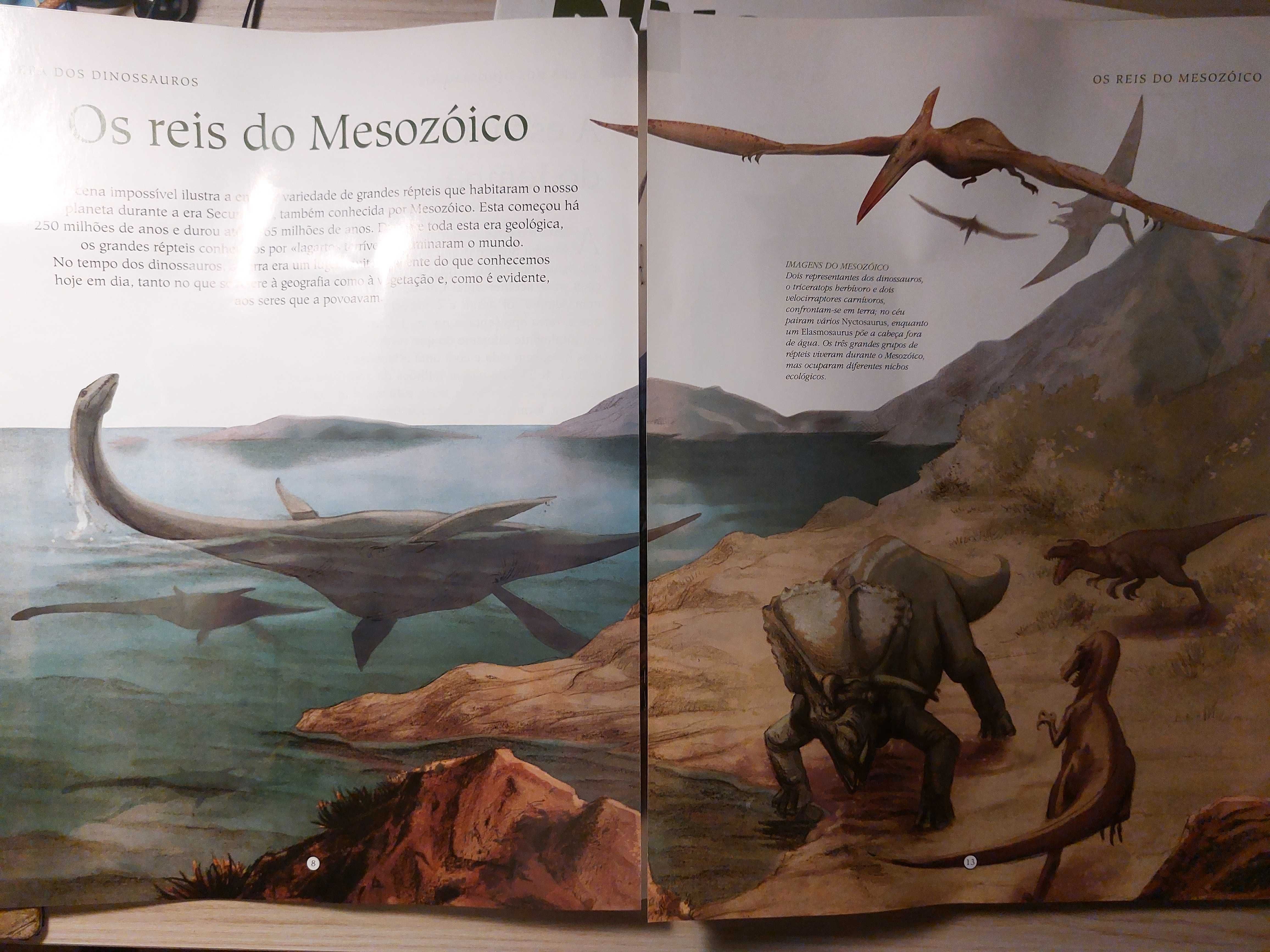 Coleção "Dinossauro", Nº1, 2 e 5
