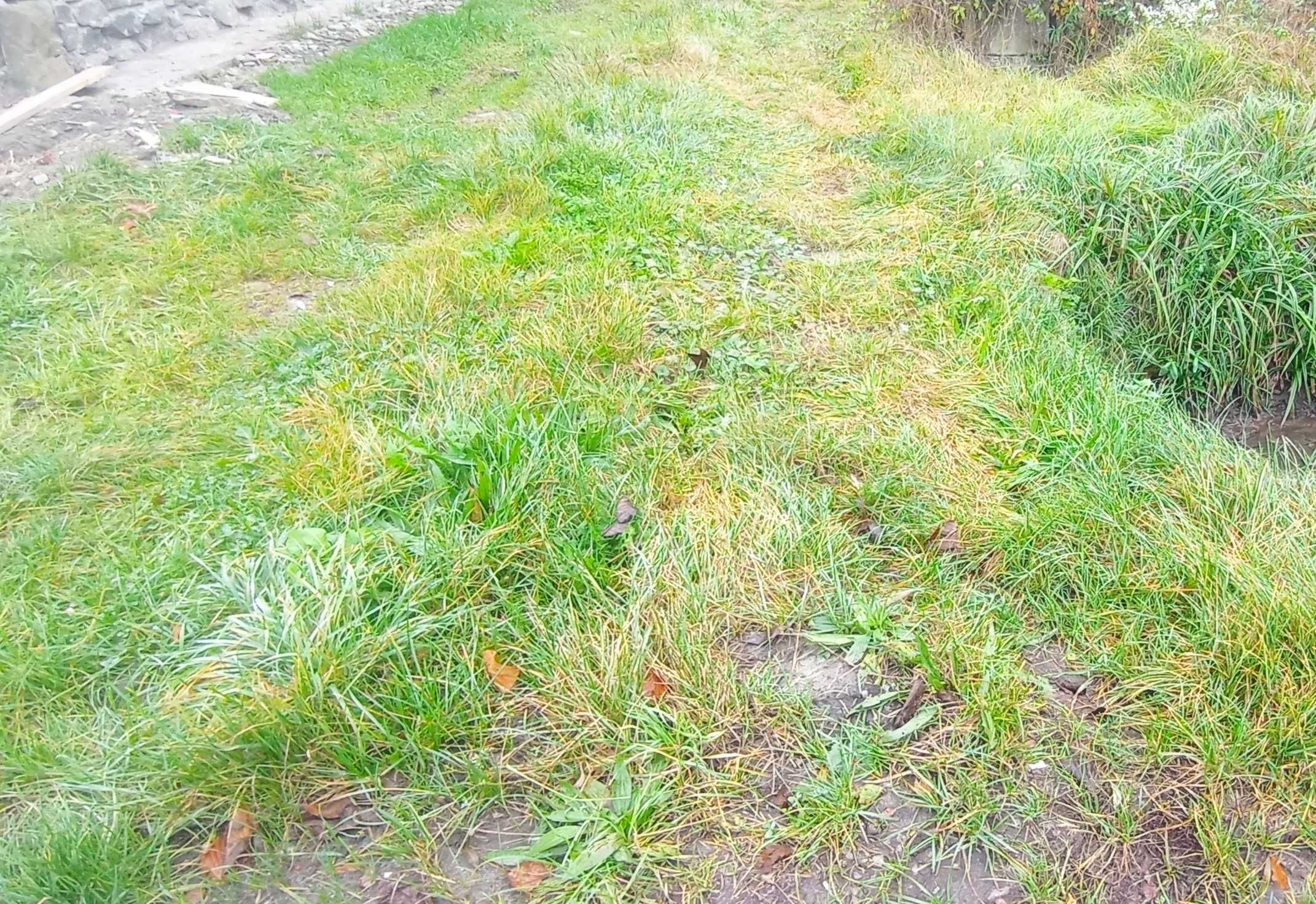 Ціну різко знижено Продаєм земельну ділянку Солочин Закарпатської