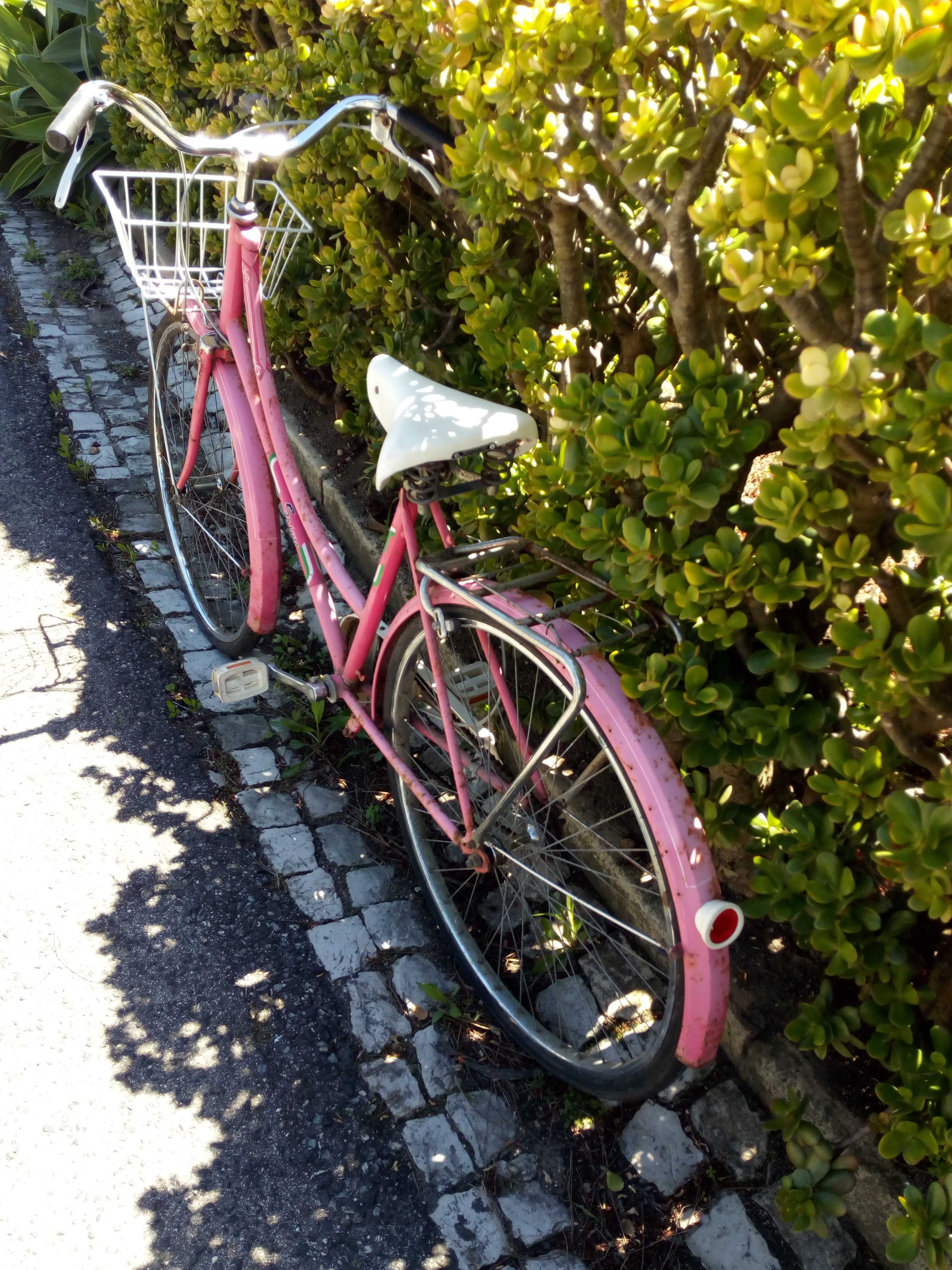 Bicicleta pasteleira senhora