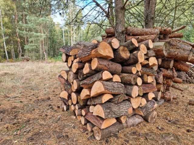 drewno opałowe i kominkowe sezonowane i świeże