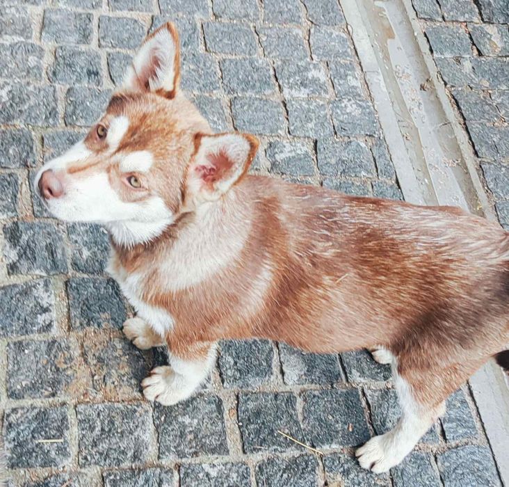 Класний хлопчик-