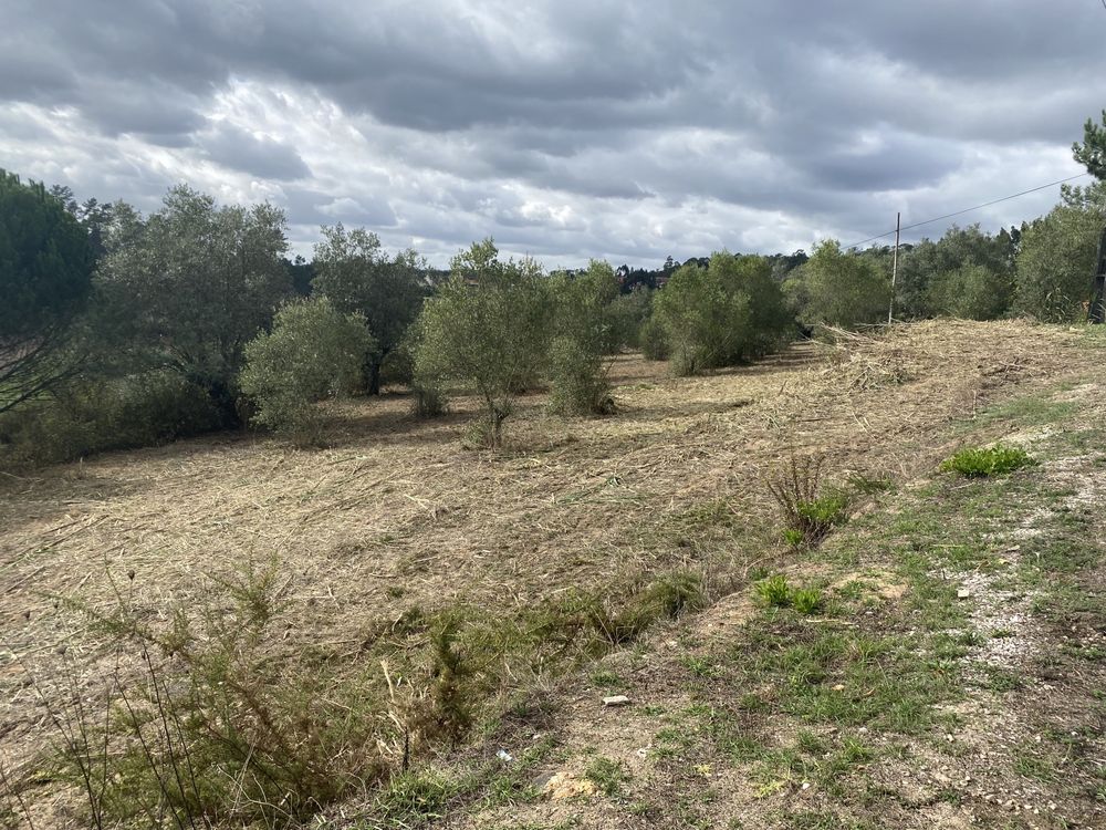 Vendo terreno Matas, Ourém