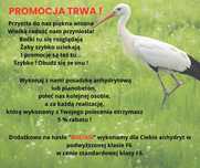 Posadzki anhydrytowe, wylewki anhydrytowe, pianobeton.