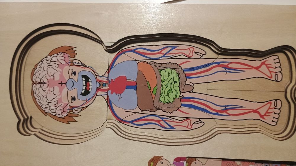 Drewniana układanka ciało człowieka puzzle edukacyjne Playtive