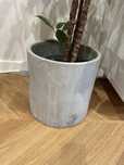 Donica Serax Urban Jungle concrete vase