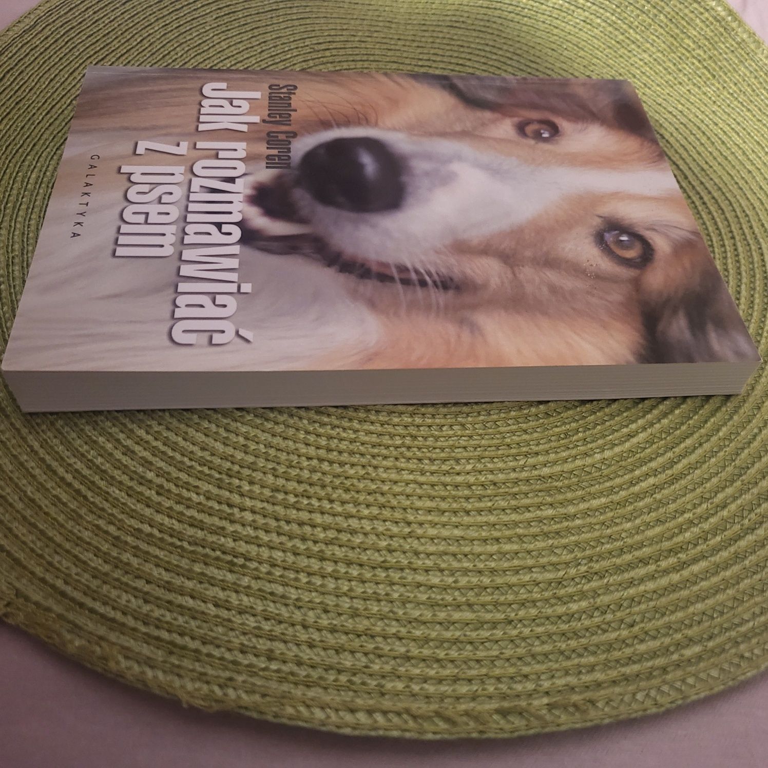 Stanley Coren, Jak rozmawiać z psem. Prezent