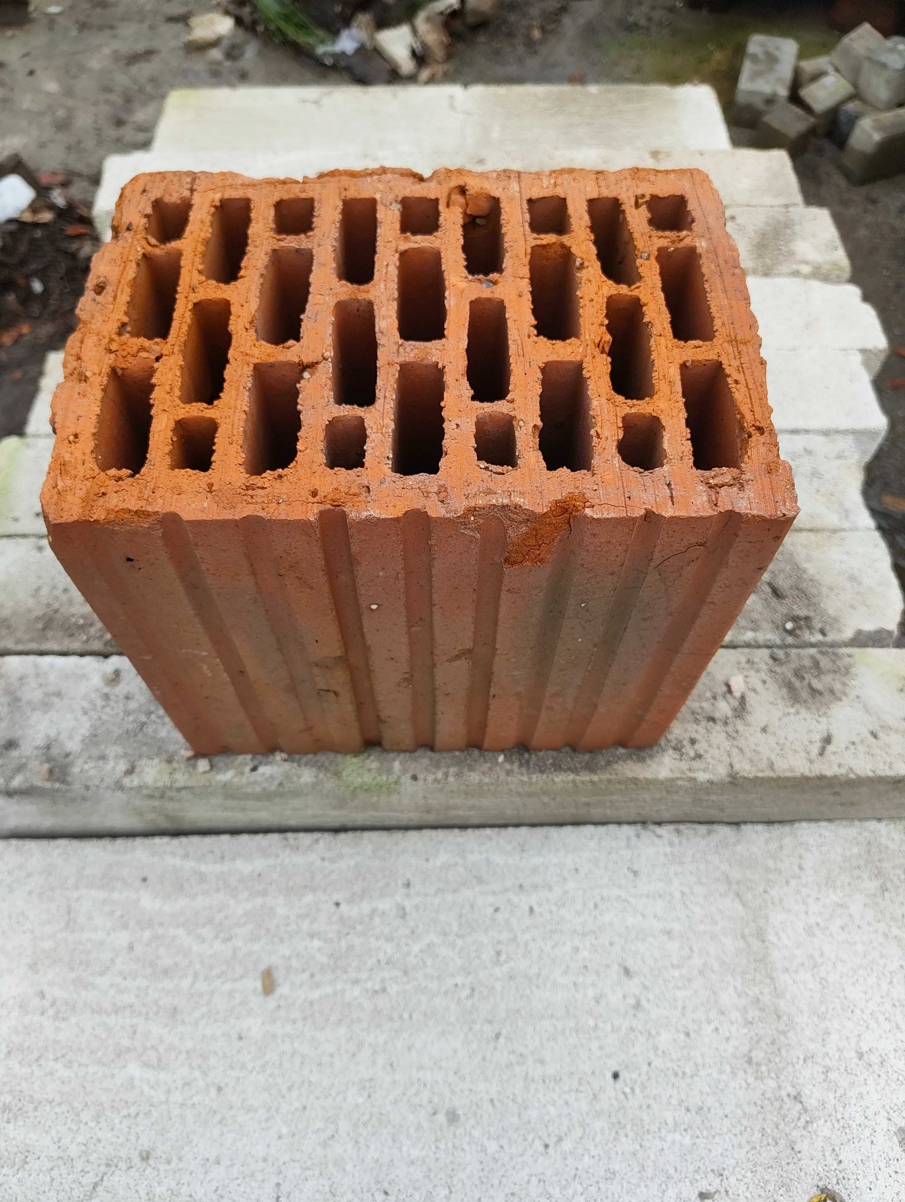 Pustak ceramiczny 100szt Poznań