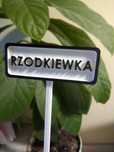 Tabliczka do oznaczania roślin