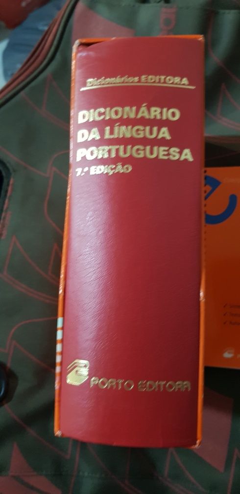 Dicionários de língua portuguesa