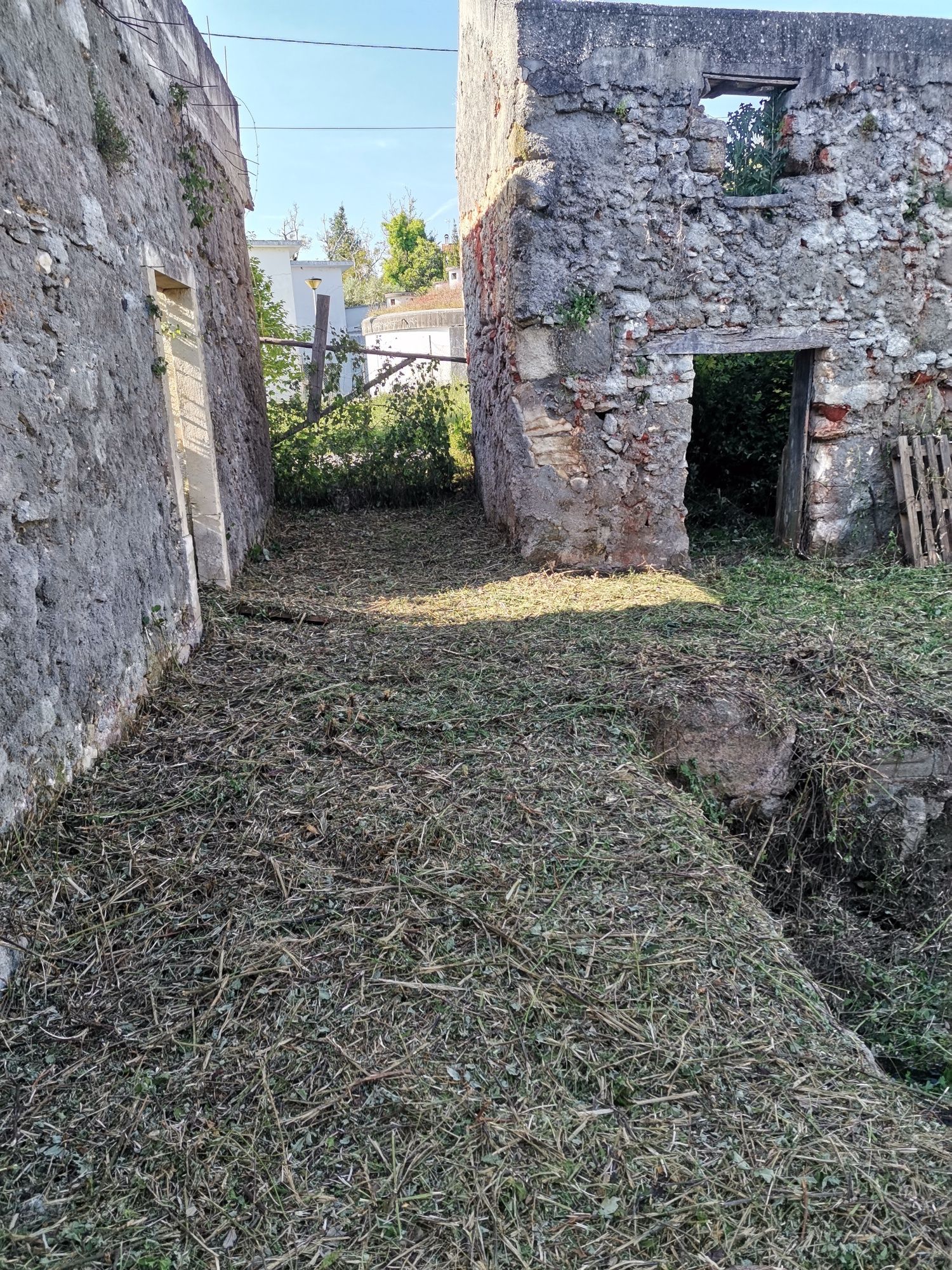 Limpeza de terrenos e jardins