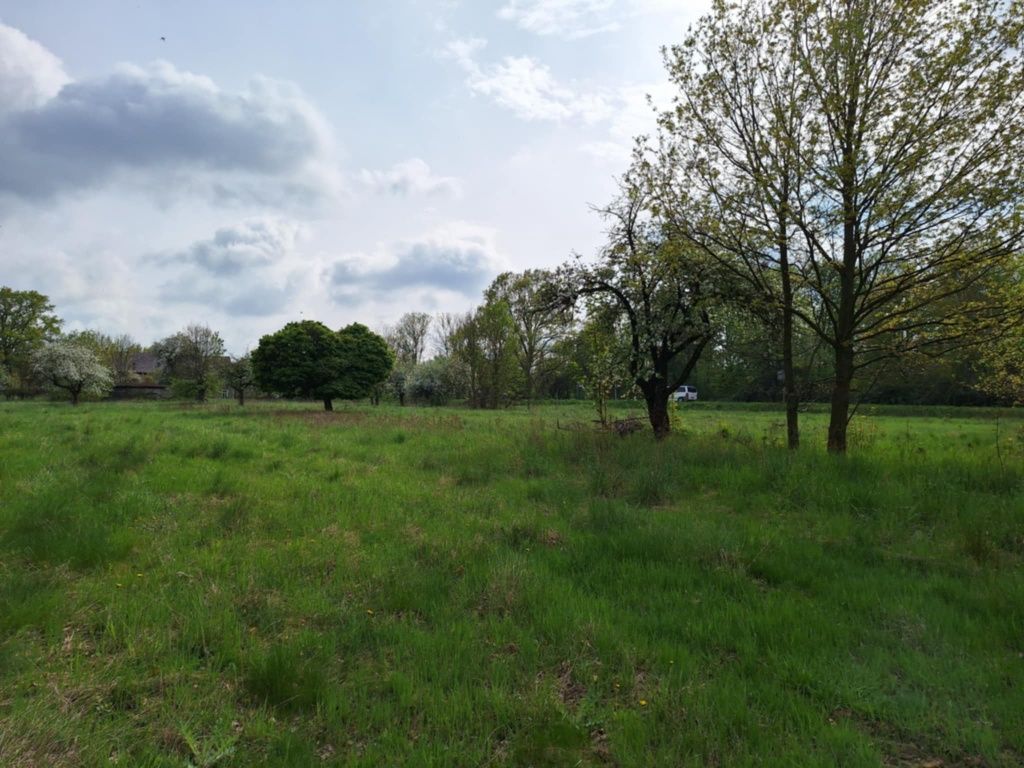 Działka budowlana - sprzedam, Suszki